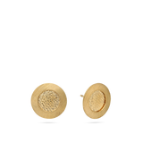 Brincos de placa banhados a ouro