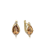 Brincos de placa banhados a ouro com zircónias castanhas