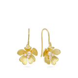 Pendentes, Banhado a Ouro, Pérola cultivada