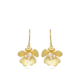 Pendentes, Banhado a Ouro, Pérola cultivada