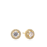Brincos de placa banhados a ouro com zircónia