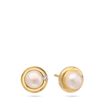Brincos de placa banhados a ouro com pérola