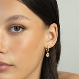 Pendentes, Banhado a Ouro, Zircónia de cultivo