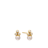 Brincos de placa em ouro 9k com zircónia e pérola