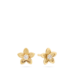 Brincos de placa flor em ouro 9K com zircónia