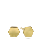 Brincos de placa banhados a ouro