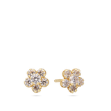 Brincos de placa flor em ouro de 9K com zircónias