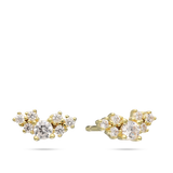 Brincos de placa banhados a ouro com zircónias