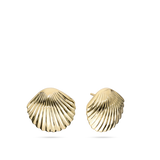 Brincos de espigão banhados a ouro em forma de concha