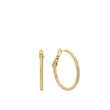 Argolas banhadas a ouro