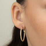 Argolas banhadas a ouro