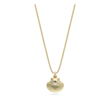 Fio com pendente, Banhado a Ouro, Nenhuma pedra