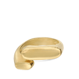 Anel Delicado, Banhado a Ouro, Nenhuma pedra