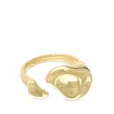 Anel banhado a ouro
