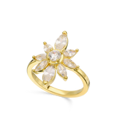 Anel Delicado, Banhado a Ouro, Zircónia de cultivo