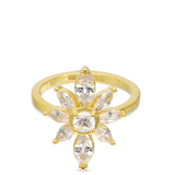 Anel Delicado, Banhado a Ouro, Zircónia de cultivo